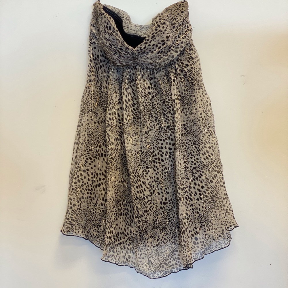 Express Dress